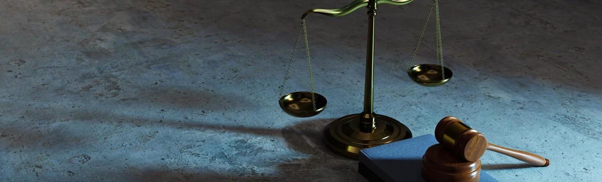 [자문] 업무방해 등 법적조치 및 신주발행무효확인소송에 대한 자문 제공
